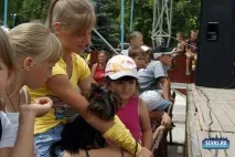 За звання кудлатою та кусачів «Балаклавської перлини» боролися 370 породистих собак. кудлатою