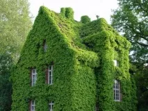Зелені фасади будівель, Книга будівельника зелені