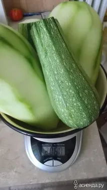 прибиране предястие