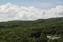 Золоті піски або Сонячний берег піски