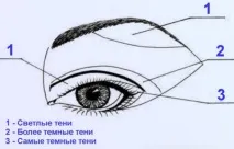 13 суперправил нанесення тіней та виконання популярних технік суперправил