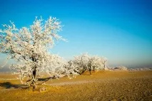 20 чарівних місць, які існують у Голландії місце