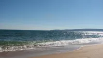 блог блог