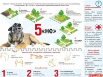 захиститися