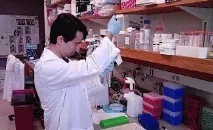 Антифосфоліпідний синдром - причини, діагностика та лікування синдрому діагностика