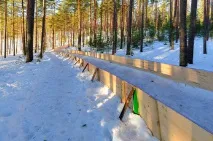лампушка конуси