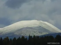 тюлюк