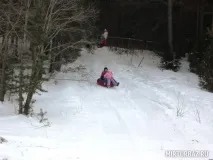 тюлюк