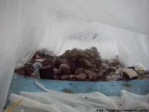 бани пешеходни