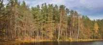 отдих лампушка