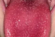 мова