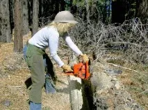 chainsaw описания