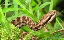 Детальніше