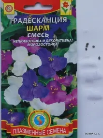 Традесканція. Вирощування з насіння традесканції