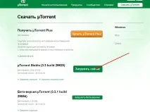 Торрент. Як правильно налаштувати та завантажувати. торрент