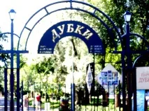 «Дубки