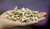 биокерамични получени