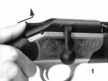 blaser 2001