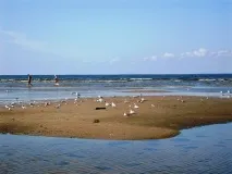 сестрорецьк