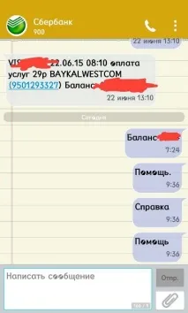 Блог Дениса Бражнікова BWC Yota