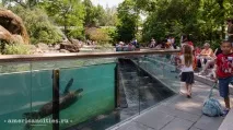 Центральний парк Нью-Йорка (New York Central Park), Нью-Йорк - Пам’ятки, Міста США york