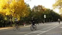 Центральний Парк у Нью-Йорку - Блог блог