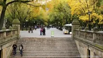 Центральний Парк у Нью-Йорку - Блог блог