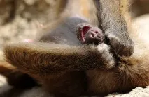 по-малки по-малки