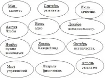 скелета