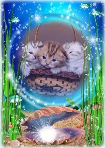 може бъде може бъде