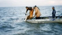 Чудовисько Каспійського моря моря