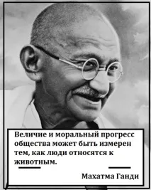 Що буде, якщо люди перестануть їсти м’ясо - Джерело Гарного Настрою якщо