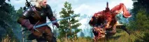 witcher hunt