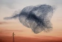 фантастични фантастични