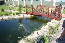 Дизайн ландшафту ставків дизайн