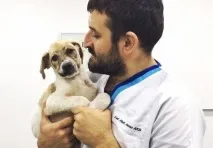 Діти кинули собаку, обливши її клеєм, але вона не збиралася здаватися клеєм