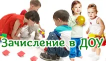 животни бездомни