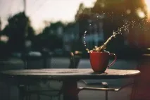 пример франчайз