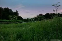 благороден парк