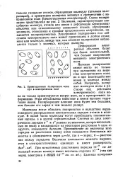 заряд атом