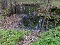 Якщо ділянка сира, Блог любителя газону блог