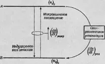 релаксация спин-решетката ефекти