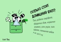 Єнот Тоне - Купівля єнота купівля