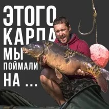 Ефірні олії, Барвники CCMoore олії