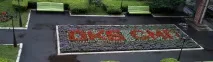 ендокринология автономно