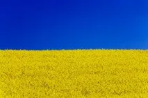 флаг украйна