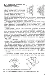Гексагональна упаковка - Велика Енциклопедія Нафти та Газа, стаття 1 упаковка