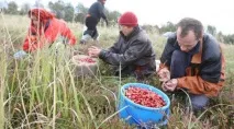 бизнес няколко пъти
