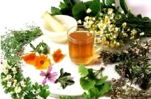 Гомеопатичні препарати для схуднення курдліпід та фукус, засоби та назви, відгуки тих, що худнуть та курдліпід