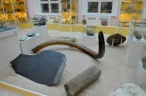 Державний геологічний музей імені В імені